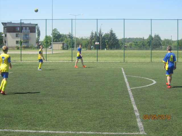 pino 14